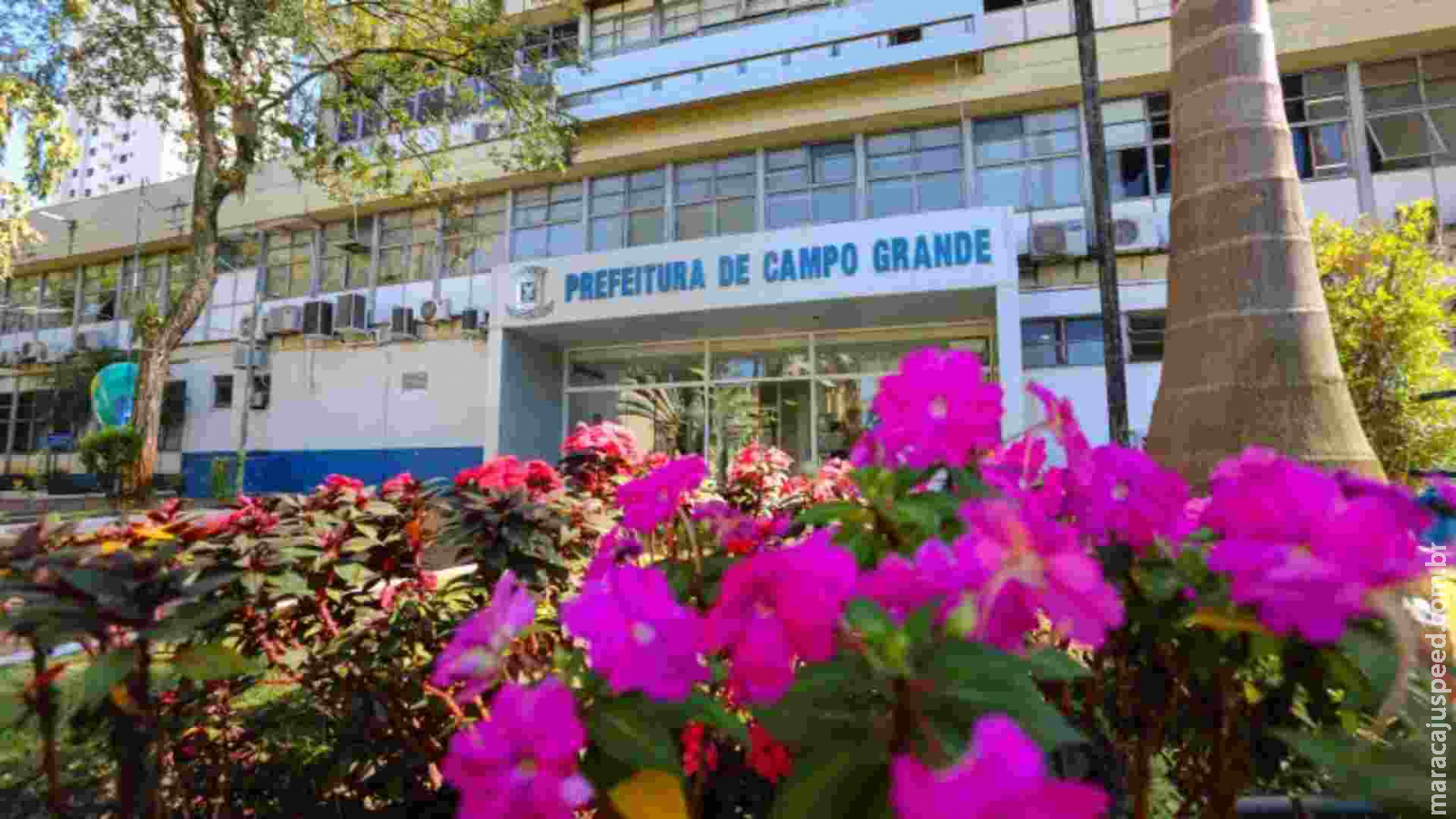É você? Prefeitura de Campo Grande convoca 38 candidatos de sete processos seletivos