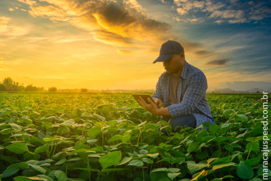 Governo Federal faz ajustes em programas de concessão de crédito rural Governo Federal faz ajustes em programas de concessão de crédito rural