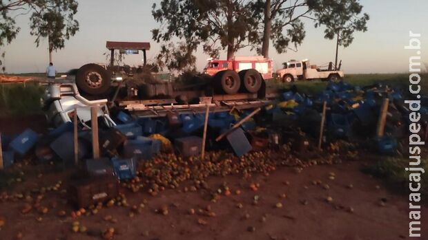 Motorista de caminhão morto em acidente na MS-395 tinha 47 anos e morava em Naviraí