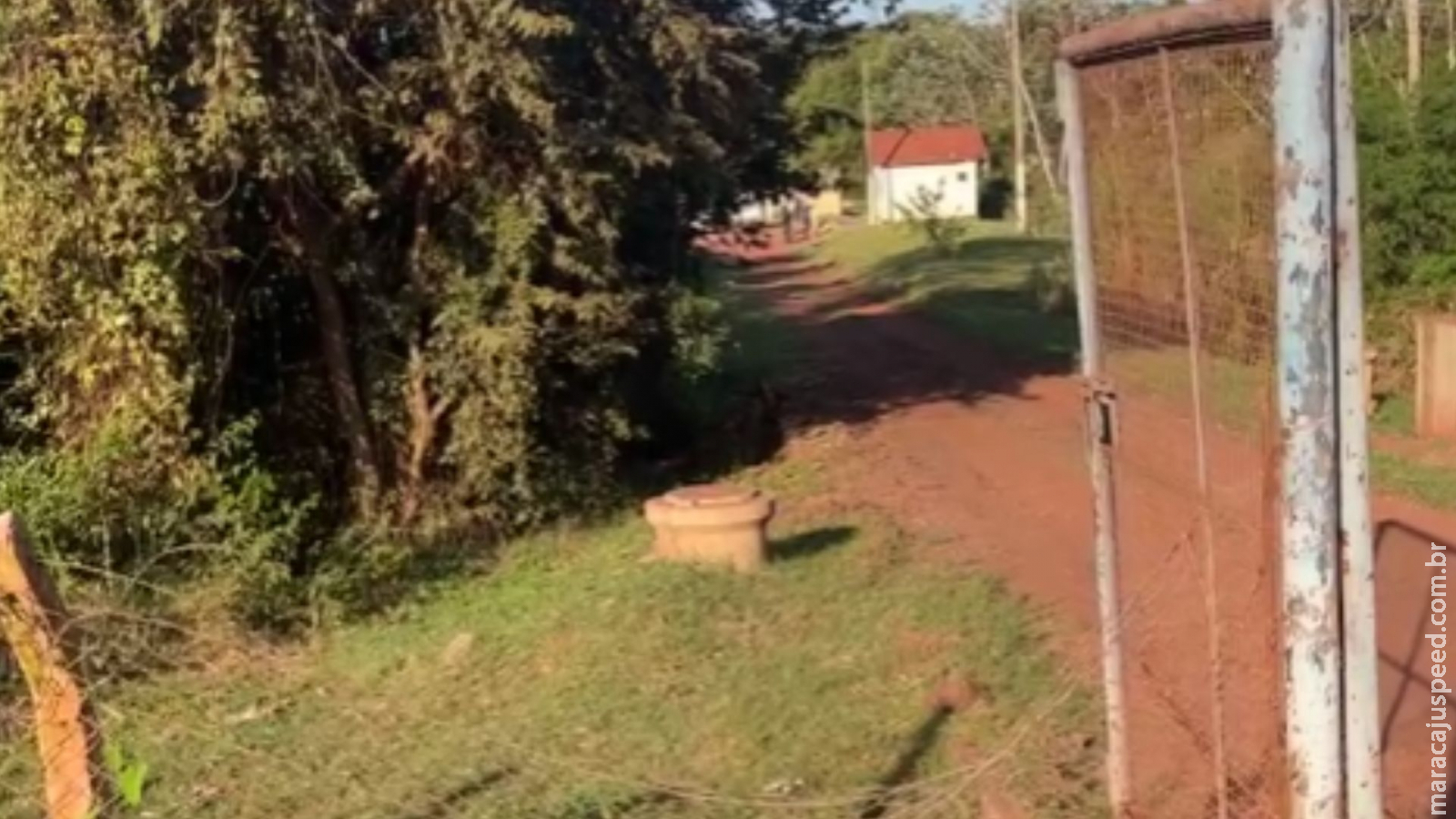 Polícia investiga se feto encontrado em esgoto é de mulher que deu descarga em Polícia investiga se feto encontrado em esgoto é de mulher que deu descarga em
