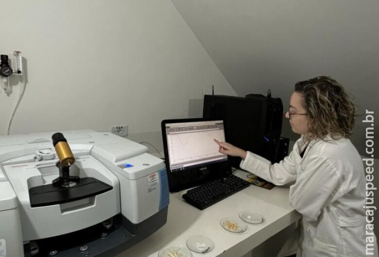Professoras da UEMS desenvolvem pesquisa sobre uso de biomassa Professoras da UEMS desenvolvem pesquisa sobre uso de biomassa