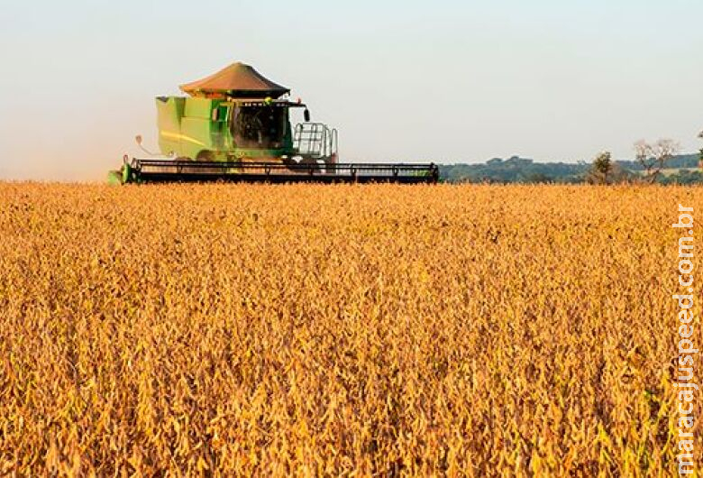 Qual será o tamanho do agro brasileiro em 10 anos? Confira Qual será o tamanho do agro brasileiro em 10 anos? Confira