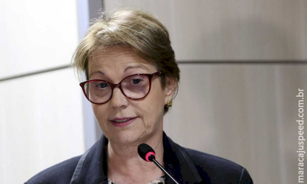 Tereza Cristina se descola de Bolsonaro e sinaliza apoio a reforma tributária 