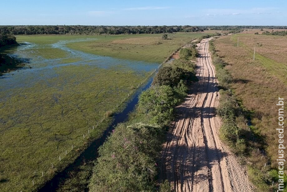 Tribunal de Contas de MS vai embargar rodovia para preservação do Pantanal