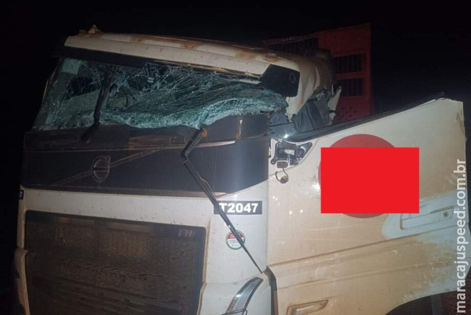 Acidentes disparam na BR-262 após aumento no transporte de minérios e eucaliptos Acidentes disparam na BR-262 após aumento no transporte de minérios e eucaliptos