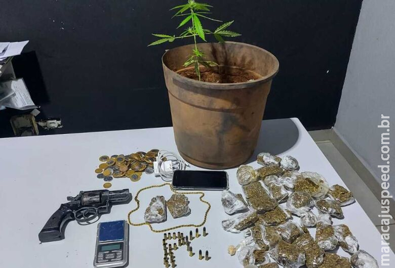 Acusado de tráfico é preso com armas, munições e pé de maconha Acusado de tráfico é preso com armas, munições e pé de maconha