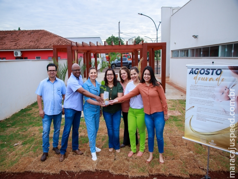 Agosto Dourado: Muda de Ipê Branco é plantada na área da futura Clínica da Mulher Agosto Dourado: Muda de Ipê Branco é plantada na área da futura Clínica da Mulher