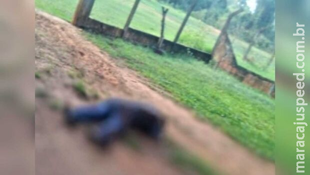 Após bebedeira, homem é morto pelo amigo em Itaquiraí Após bebedeira, homem é morto pelo amigo em Itaquiraí