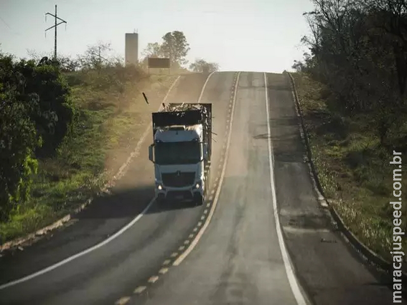 Conhecida como “rodovia da morte”, BR-262 receberá base da PRF Conhecida como “rodovia da morte”, BR-262 receberá base da PRF