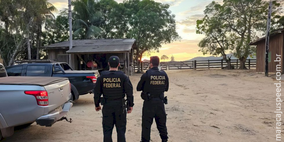 Crimes ambientais na Amazônia são investigados em operações da PF Crimes ambientais na Amazônia são investigados em operações da PF