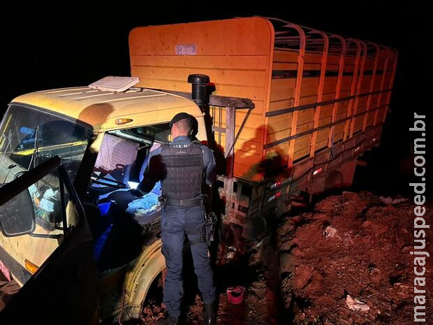 Detento escapa da cadeia e furta caminhão de carga durante a fuga Detento escapa da cadeia e furta caminhão de carga durante a fuga