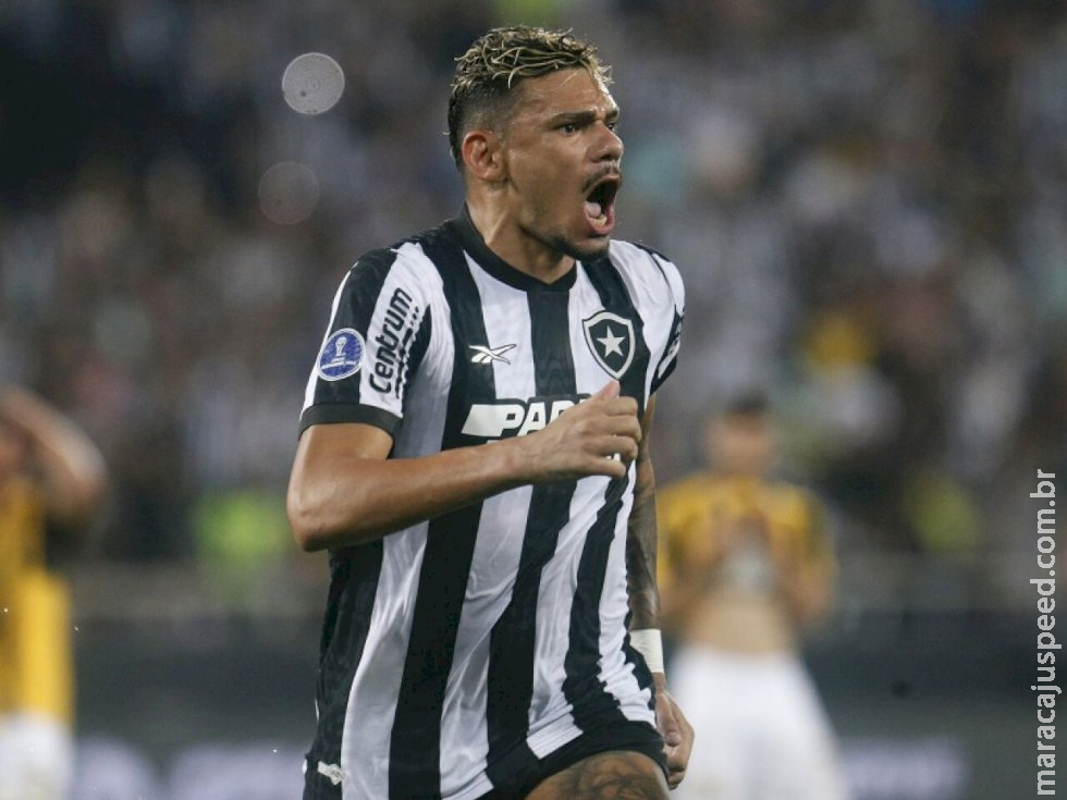 Em jogo isolado, líder Botafogo pode igualar campanha recorde do Corinthians em 2017 Em jogo isolado, líder Botafogo pode igualar campanha recorde do Corinthians em 2017