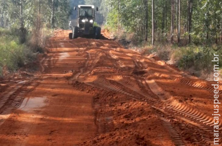 Força-tarefa do Governo com gigante da celulose vai recuperar 100 km de rodovia em Sonora