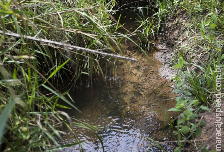 Lei inclui recuperação de nascentes na legislação ambiental