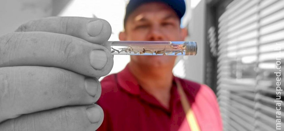 Mato Grosso do Sul registra mais uma morte por dengue e óbitos chegam a 36 neste ano