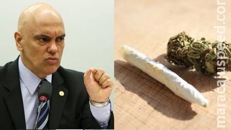 Moraes defende que cada pessoa possa carregar até 60g de maconha e plantar até 6 pés da droga em casa 