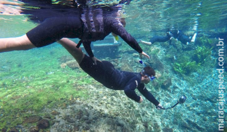 MS capacita agentes de viagens durante roadshow para promover o turismo no sul do País