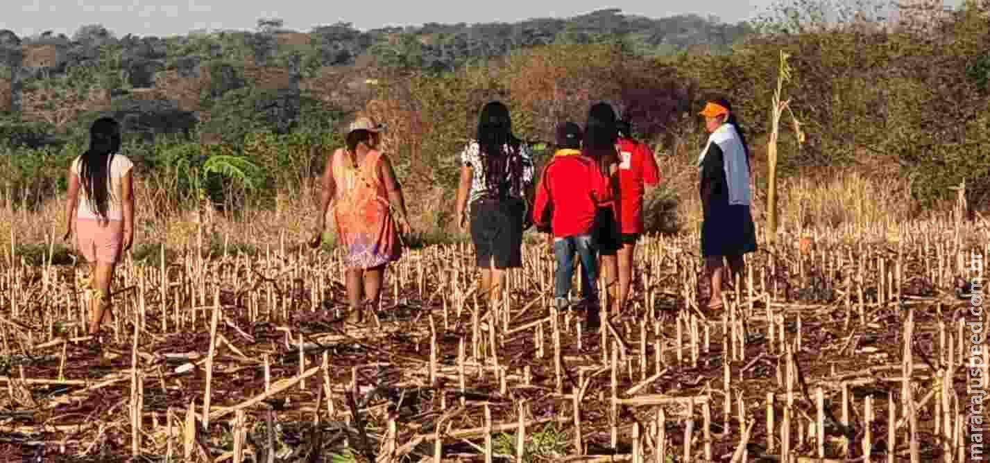 Mulheres indígenas denunciam ameaças de estupro de 
