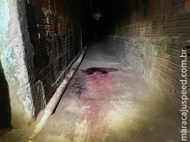 Polícia Civil conclui investigação e indicia jovem por tentar matar idoso a facadas em MS Polícia Civil conclui investigação e indicia jovem por tentar matar idoso a facadas em MS