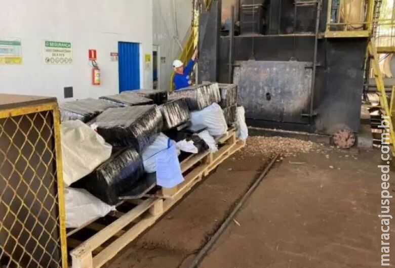 Polícia Federal incinera 3,5 toneladas de maconha apreendidas Polícia Federal incinera 3,5 toneladas de maconha apreendidas