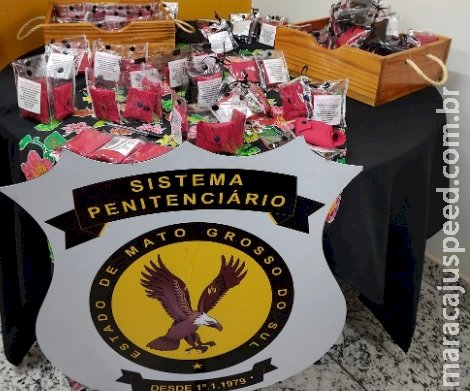 Produção de bioabsorventes em presídio de MS é alternativa sustentável para levar dignidade menstrual a mulheres