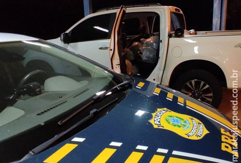Sacolas com cabelo humano são apreendidas em ação policial no MS Sacolas com cabelo humano são apreendidas em ação policial no MS