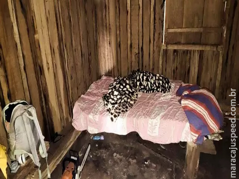 Seis trabalhadores são resgatados de fazenda em condições de escravidão Seis trabalhadores são resgatados de fazenda em condições de escravidão