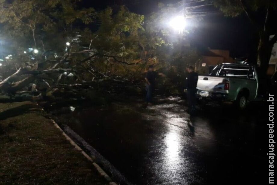 Tempestade de 10 minutos deixa rastro de destruição em Dourados 