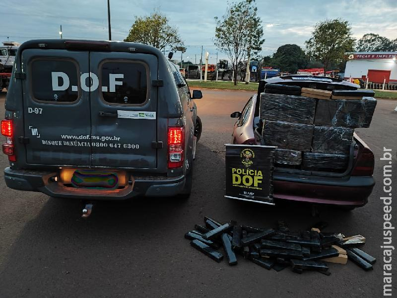 Veículo carregado com maconha é abandonado em milharal após fuga de bloqueio do DOF em Maracaju