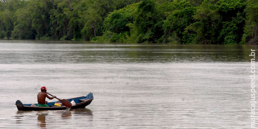 Amazônia Legal terá recursos para projetos de bioeconomia