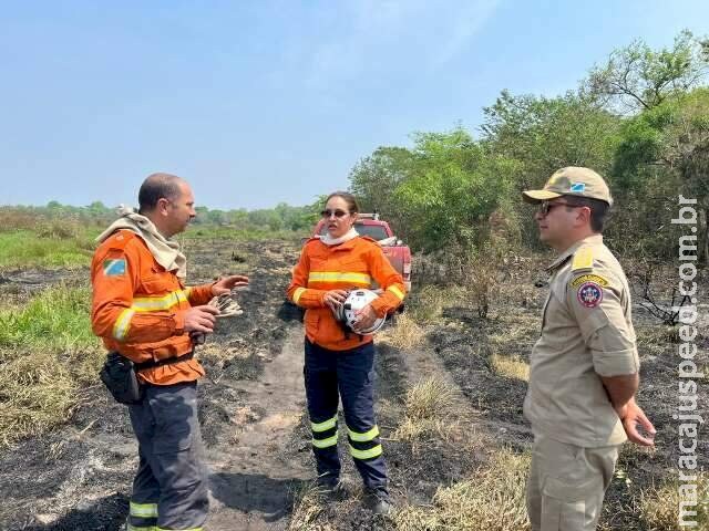 Após cinco dias, bombeiros controlam focos de incêndio no Pantanal 