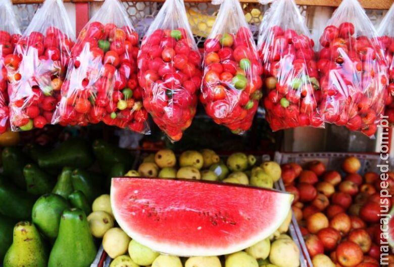 Autoridades e especialistas debatem o desperdício de alimentos no Brasil