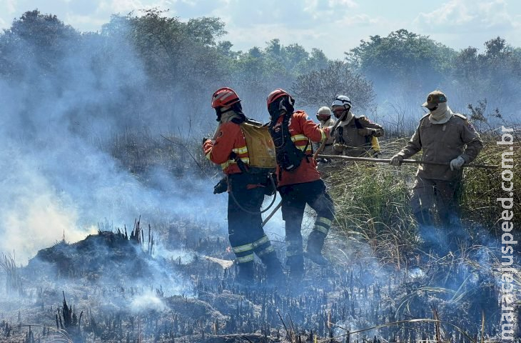 Bombeiros controlam incêndio florestal em Bonito e continuam em monitoramento na região Bombeiros controlam incêndio florestal em Bonito e continuam em monitoramento na região