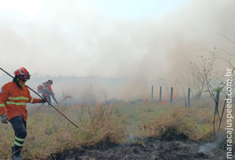 Bombeiros de MS atuam no combate a três incêndios florestais no Pantanal Bombeiros de MS atuam no combate a três incêndios florestais no Pantanal