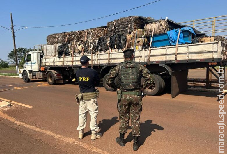 Carga de maconha apreendida em ação da PRF e Exército pesou pouco mais de 3t Carga de maconha apreendida em ação da PRF e Exército pesou pouco mais de 3t