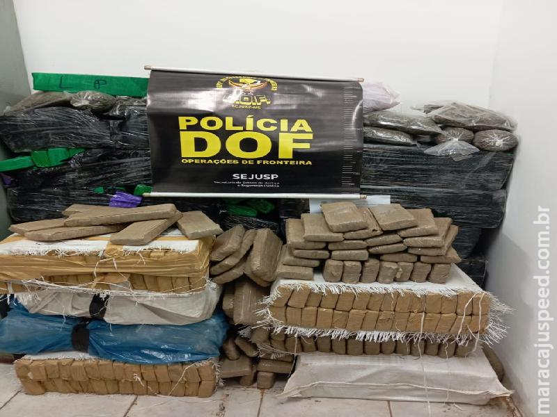 DOF apreende 173 quilos de droga em meio a mata em Ponta Porã DOF apreende 173 quilos de droga em meio a mata em Ponta Porã