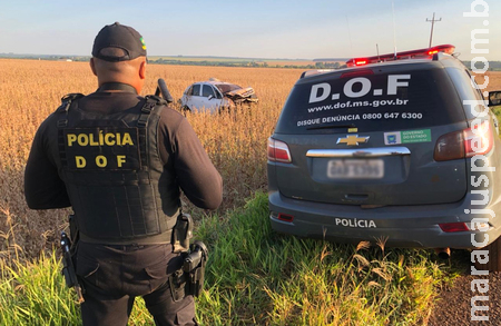 DOF apreende mais de 700 kg de maconha em operação na MS-162 DOF apreende mais de 700 kg de maconha em operação na MS-162