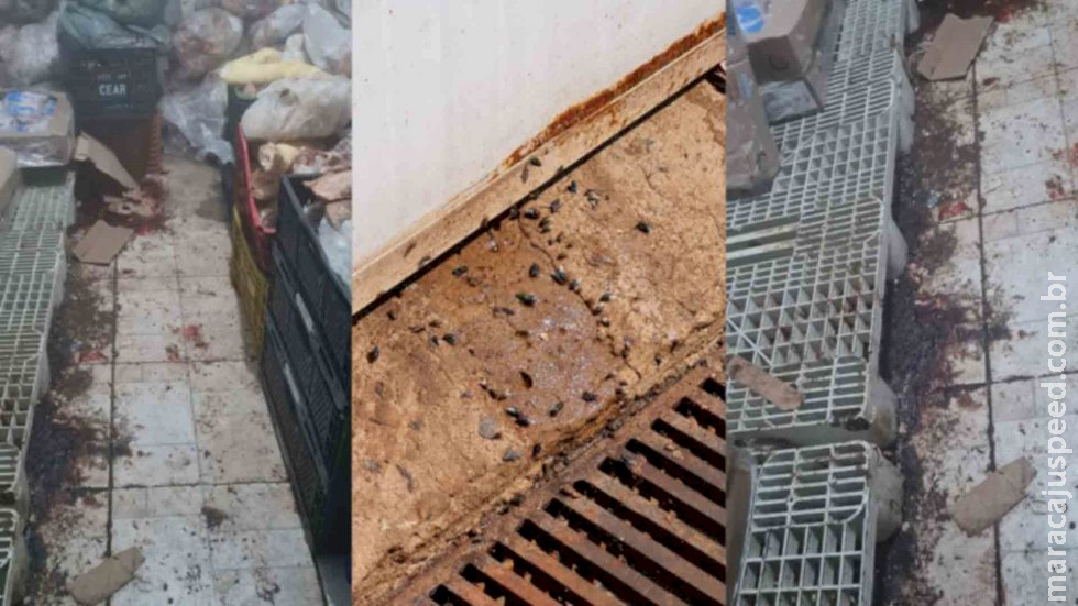 Dona de mercado presa desligava câmaras frias à noite e até carne com fungo foi apreendida em batida Dona de mercado presa desligava câmaras frias à noite e até carne com fungo foi apreendida em batida
