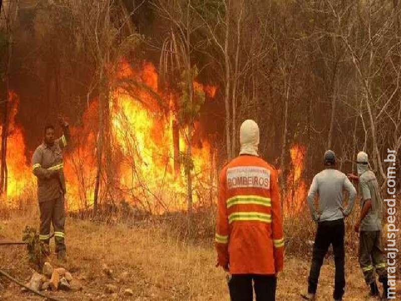 Em dois dias, incêndio atingiu 327 hectares em Bonito Em dois dias, incêndio atingiu 327 hectares em Bonito