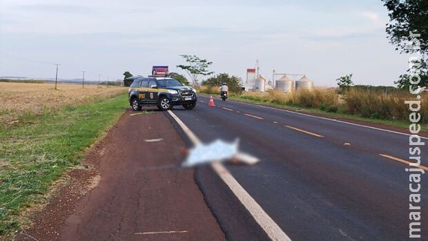 Homem é encontrado morto com ferimento na cabeça entre Dourados e Fátima do Sul Homem é encontrado morto com ferimento na cabeça entre Dourados e Fátima do Sul