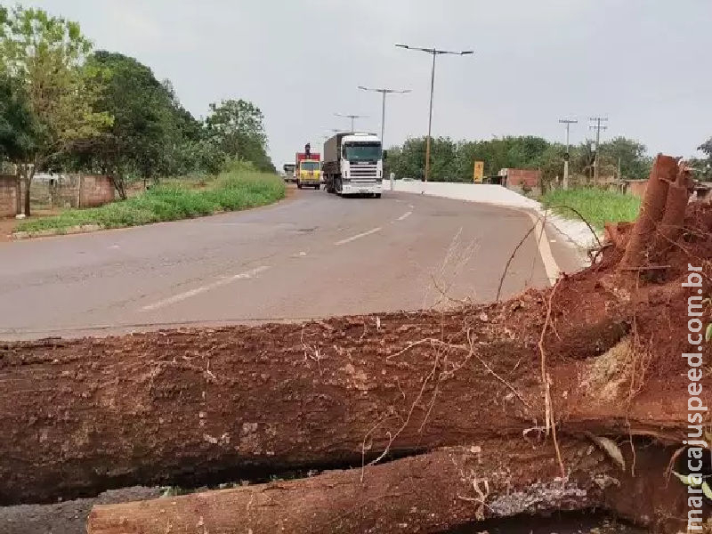 Indígenas bloqueiam MS-156 para cobrar mais segurança em aldeias