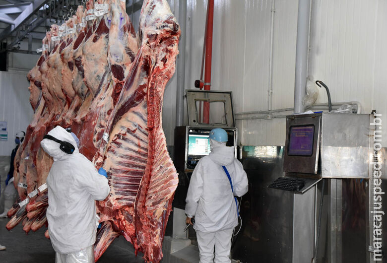 Indústria de MS gerou mais de 9,5 mil vagas de emprego entre janeiro e julho