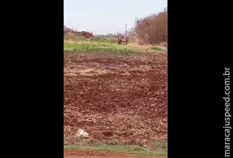 Inquérito quer prisão preventiva de cinco pessoas acusadas de invasão e ameaças em sitioca