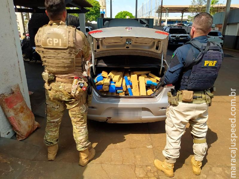 Maracaju: PRF apreende 506 kg de maconha na BR-267 e prende três traficantes