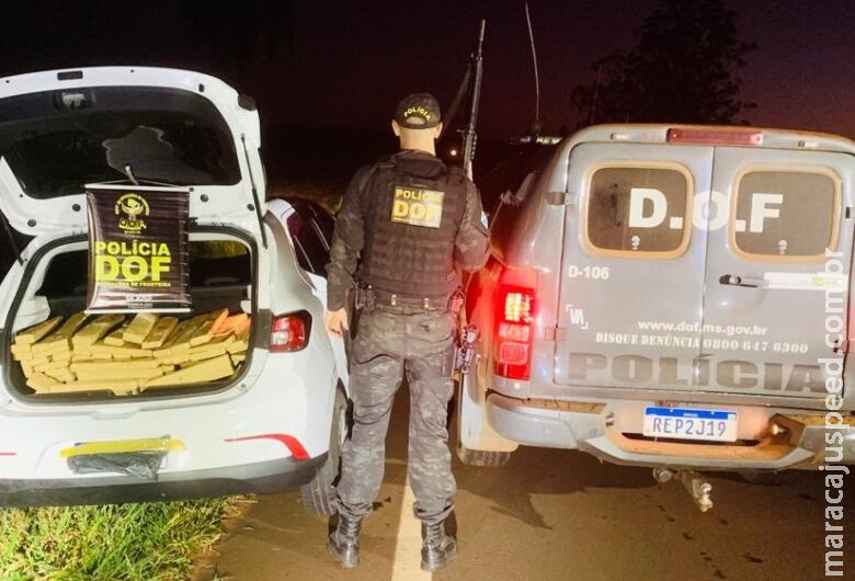 Motorista é preso após abandonar mais de 300 kg de maconha e tentar fugir a pé Motorista é preso após abandonar mais de 300 kg de maconha e tentar fugir a pé