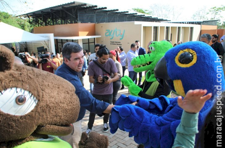 MS se torna referência no Brasil e América Latina com hospital veterinário de excelência para animais silvestres 