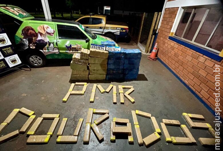 Polícia encontra quase meia tonelada de maconha em carro Polícia encontra quase meia tonelada de maconha em carro