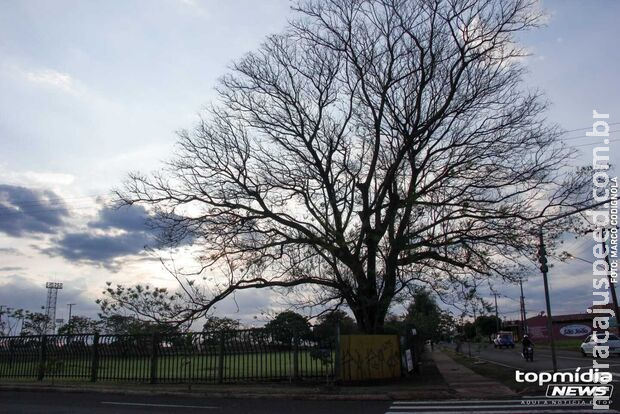 Previsão aponta para calor de até 36°C e ventos fortes em MS