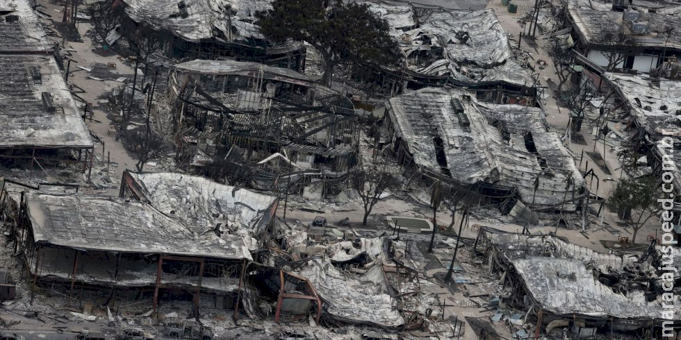 Processo de incêndio no Havaí culpa donos de terra por falta de poda Processo de incêndio no Havaí culpa donos de terra por falta de poda