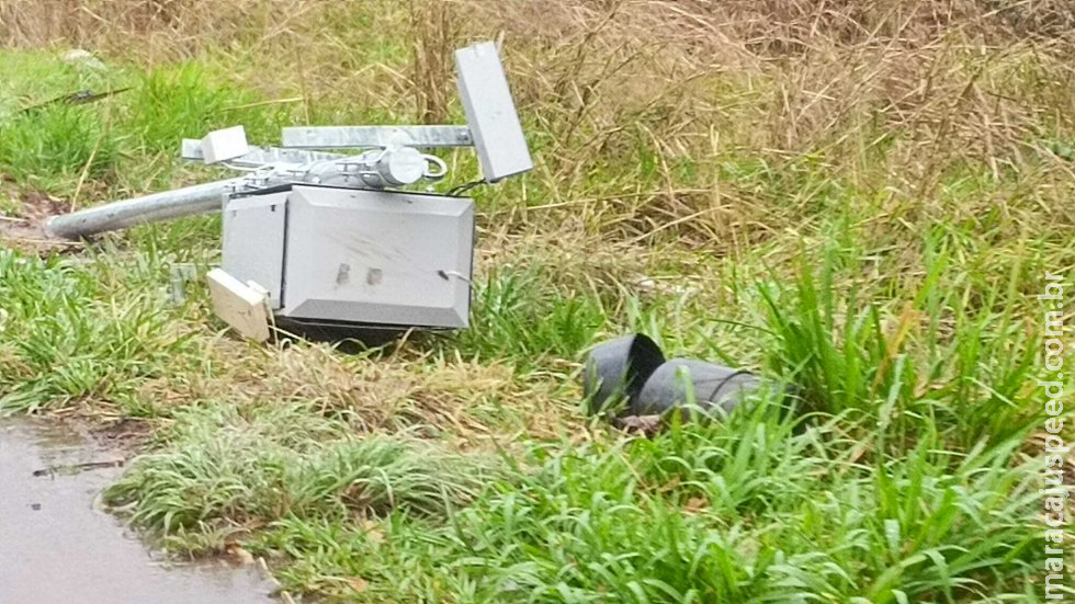 Radares instalados para diminuir matança de animais na MS-040 são destruídos
